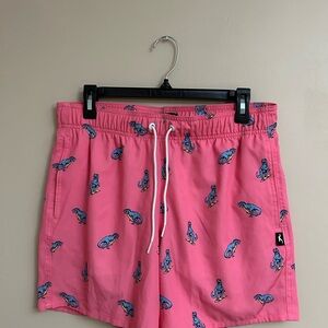 Hollister Pink Swim Trunks with Dinosaur Print